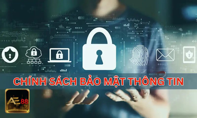 Chính Sách Bảo Mật - Những nhóm thông tin được nền tảng tiếp nhận Chính Sách Bảo Mật - Những nhóm thông tin được nền tảng tiếp nhận