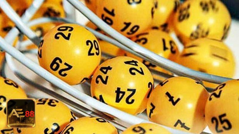 Mơ thấy rắn - Điềm lành hay lời cảnh báo còn tùy bối cảnh Mơ thấy rắn - Điềm lành hay lời cảnh báo còn tùy bối cảnh